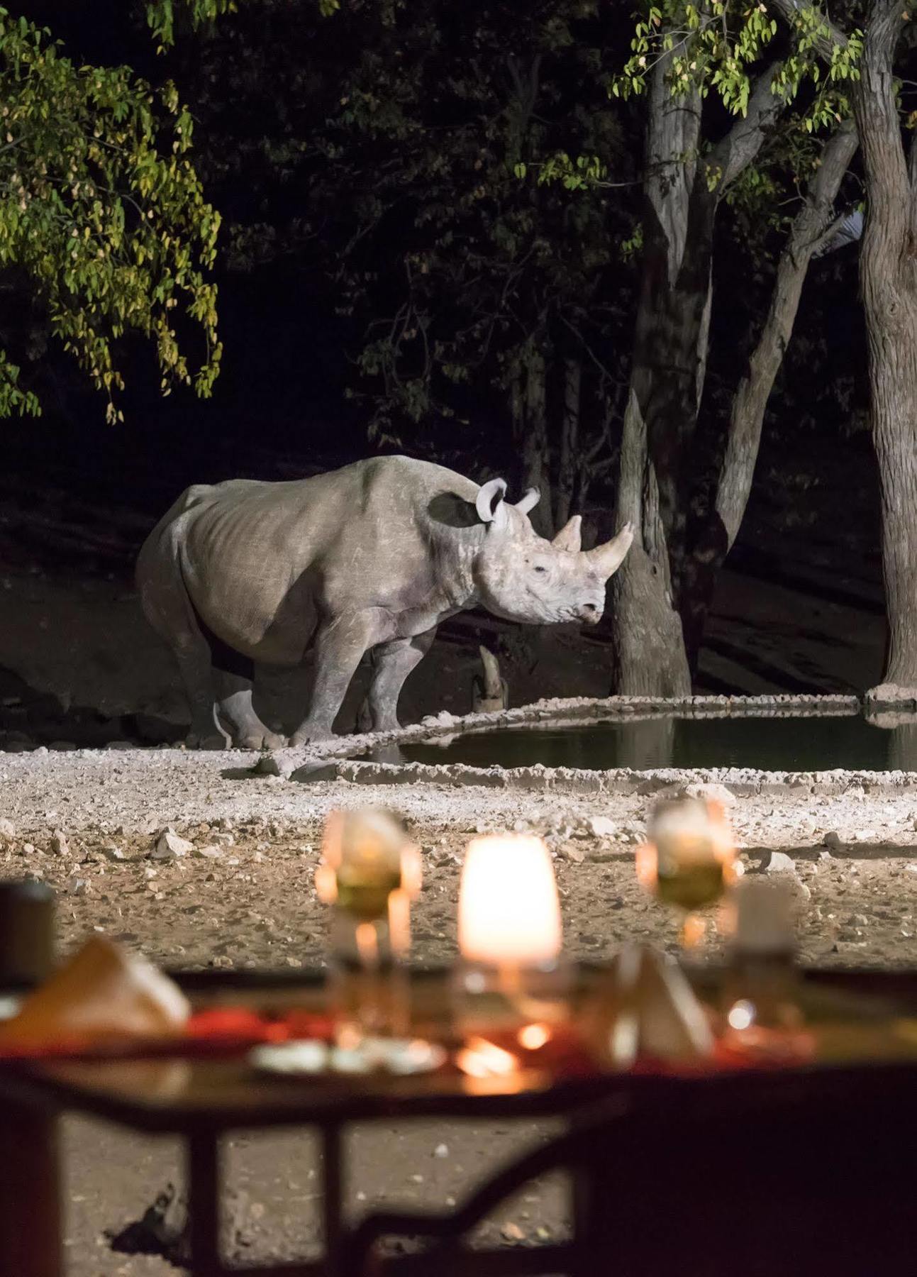 Ongava Tented Camp - All-Inclusive Окауквейо Екстер'єр фото